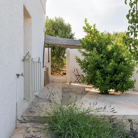 Charming - D'itria With Trullo