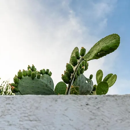 Charming - D'itria With Trullo Villa *